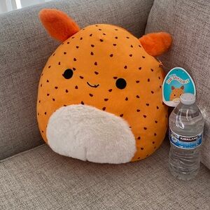 Squishmallows